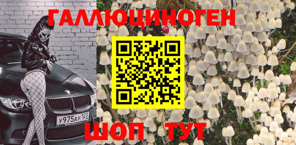 Галлюциногенные грибы Magic Shrooms Кстово