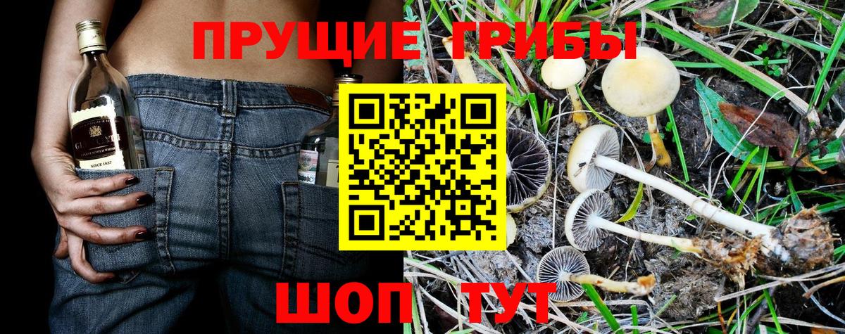 Кстово  Галлюциногенные грибы прущие грибы  как найти   Вход с VPN 